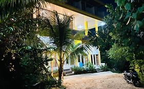 Tarsan Homestay